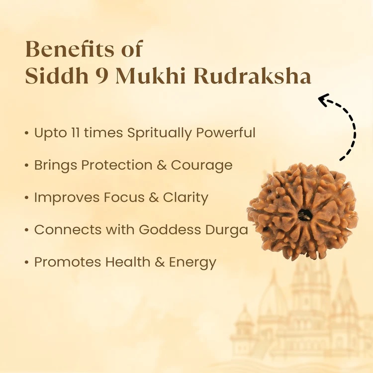 9 Mukhi Nepali Rudraksha - Image 2