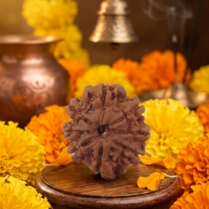 8 Mukhi Nepali Rudraksha