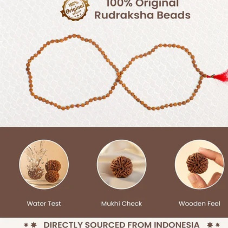 5 Mukhi Rudraksha Mala 8 mm - Image 4