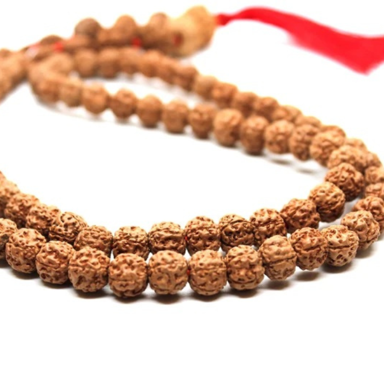 Indonesian Rudraksha Mala Necklace