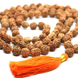Rudraksha Mala, 10mm Knotted Prayer Beads, Orange Tassel